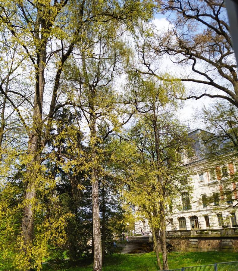 Apartament Przy Zamku Pless Exterior foto